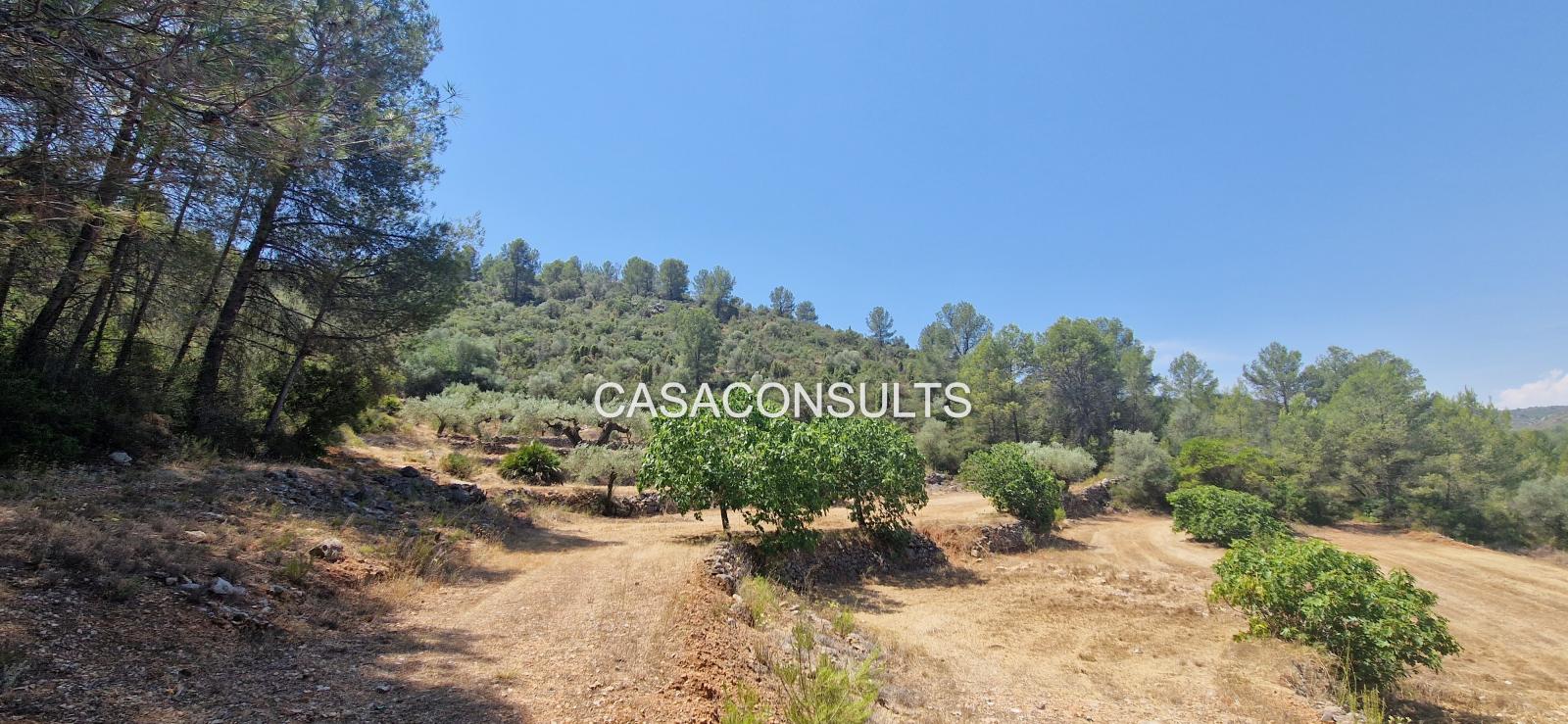 Country Property for Sale in Costur