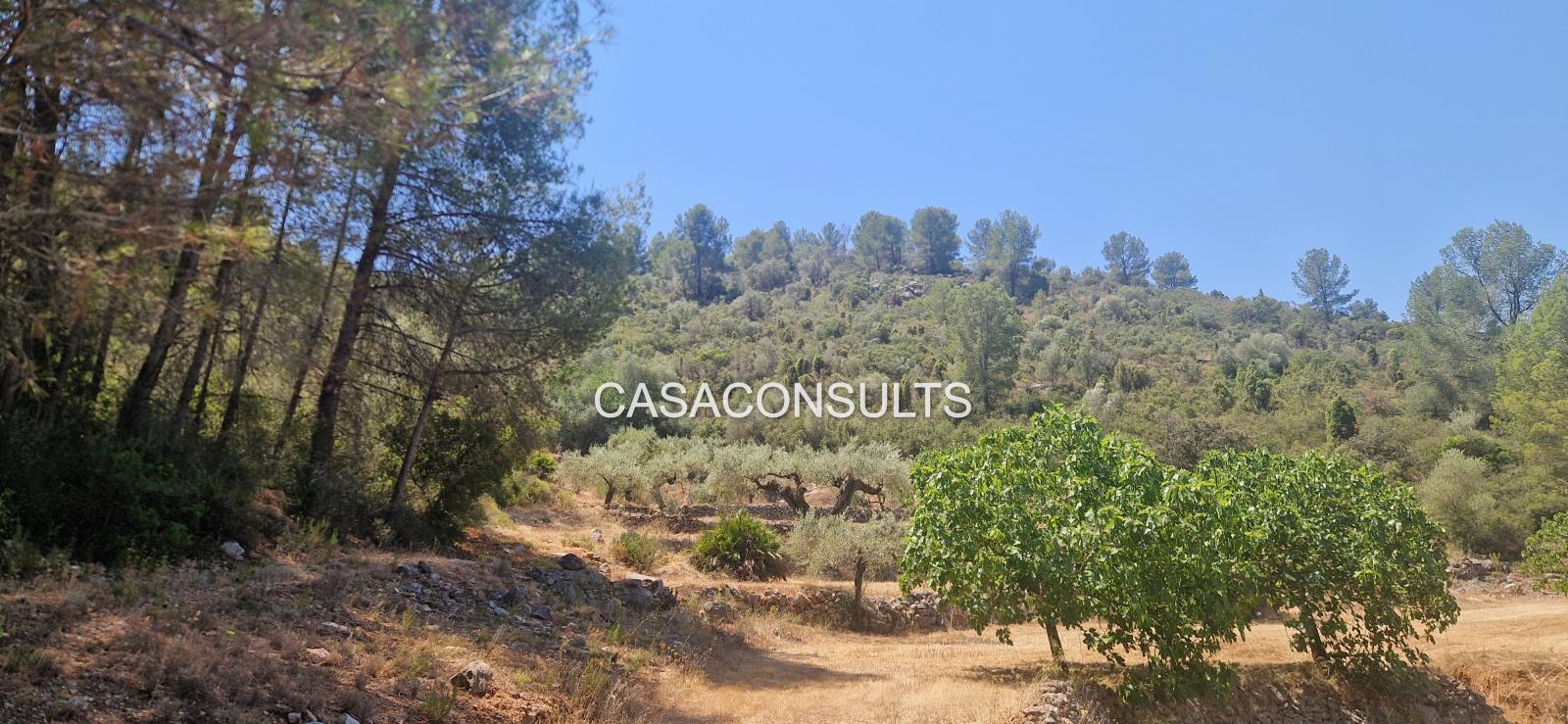 Country Property for Sale in Costur