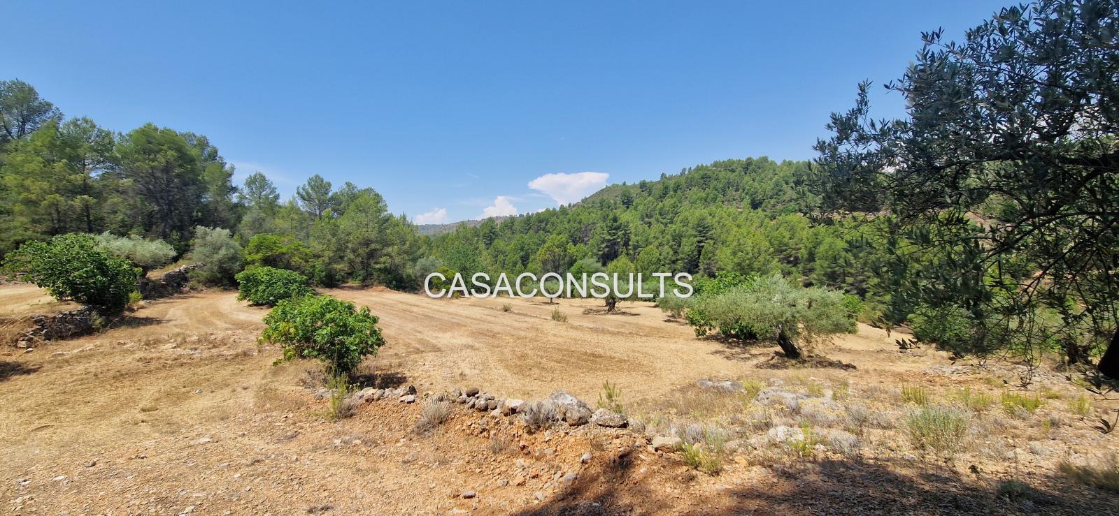 Country Property for Sale in Costur