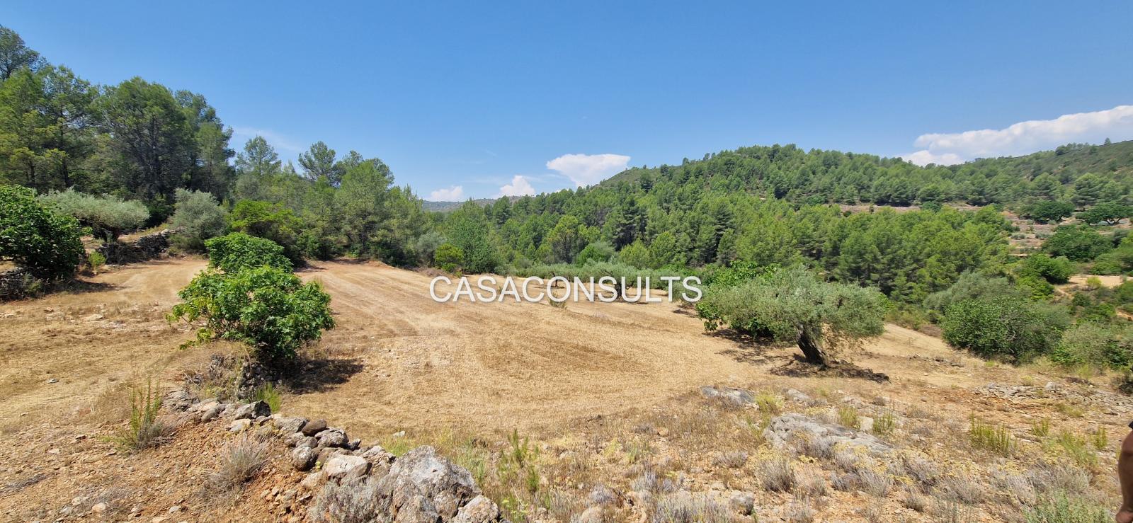 Country Property for Sale in Costur