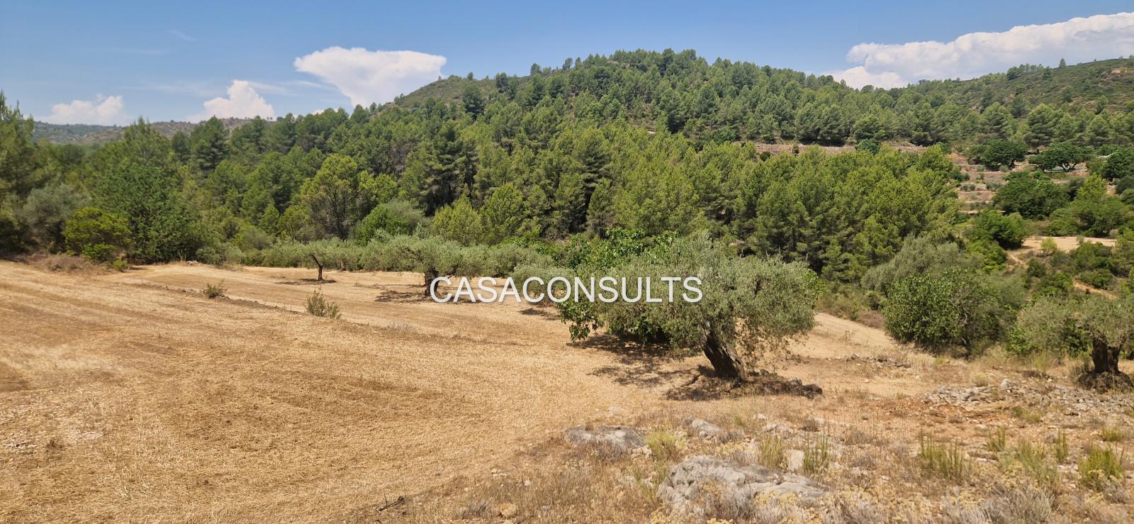 Country Property for Sale in Costur