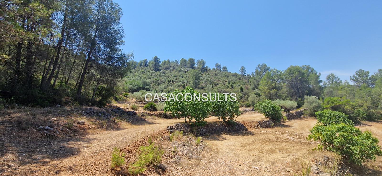Country Property for Sale in Costur