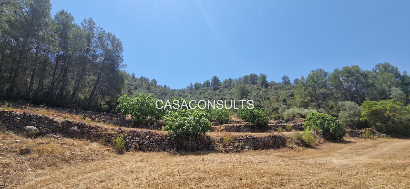 Country Property for Sale in Costur