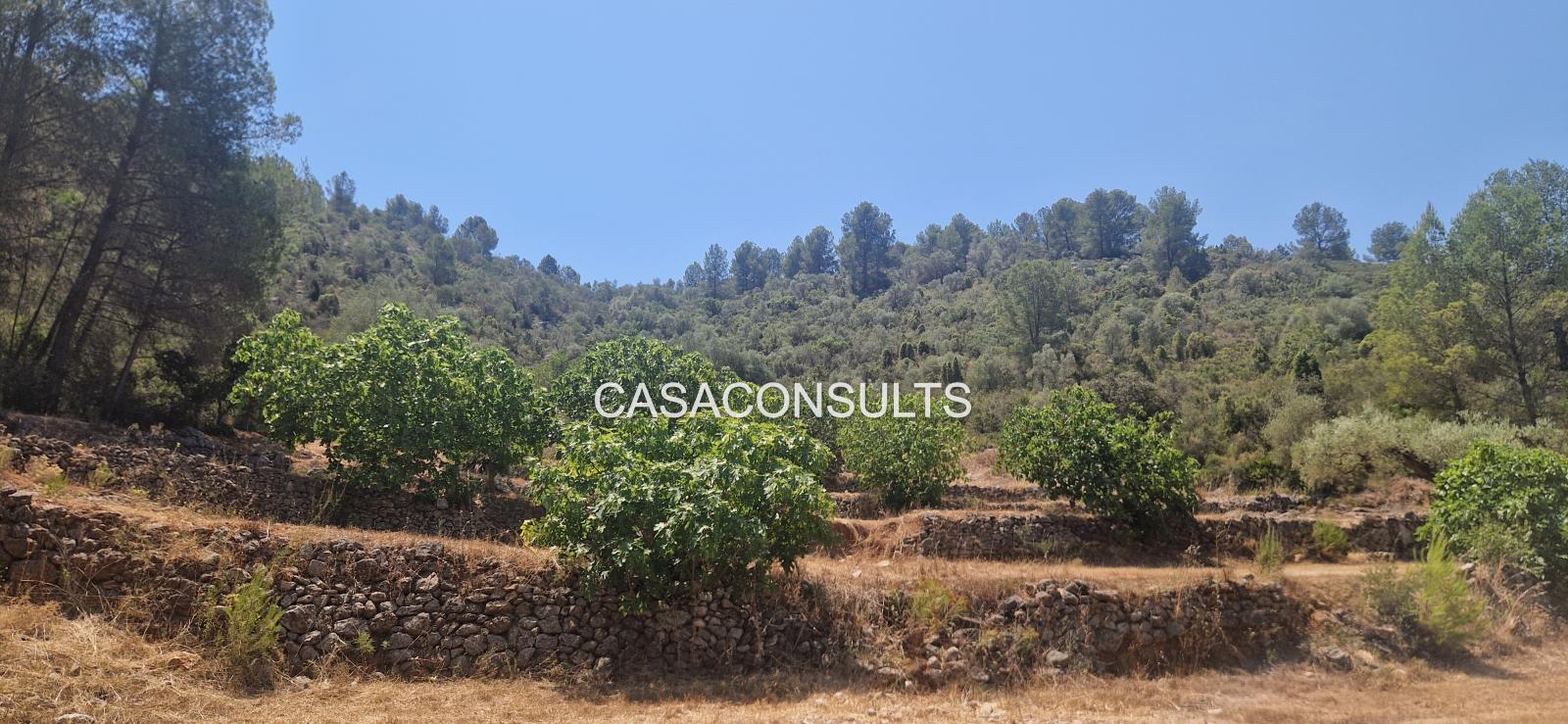 Country Property for Sale in Costur
