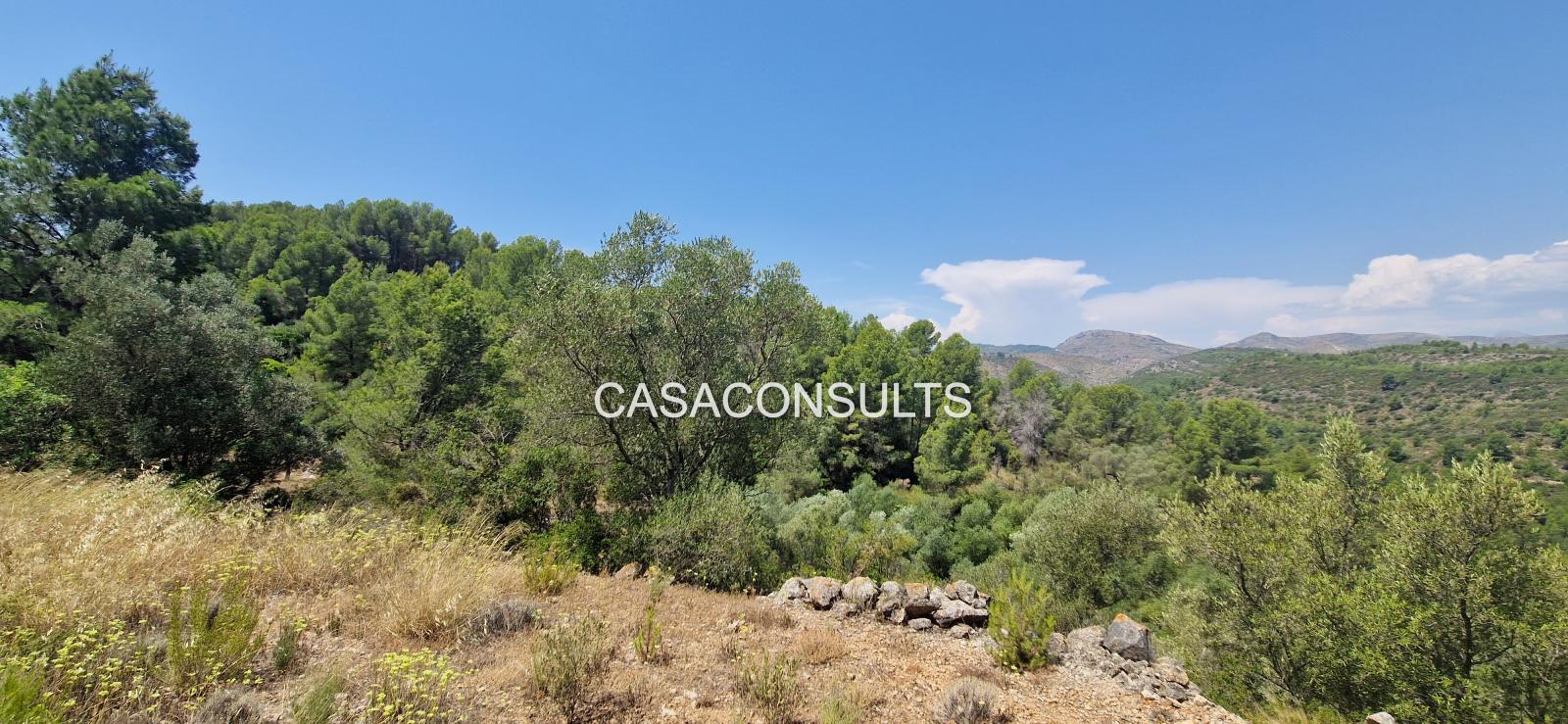 Country Property for Sale in Costur