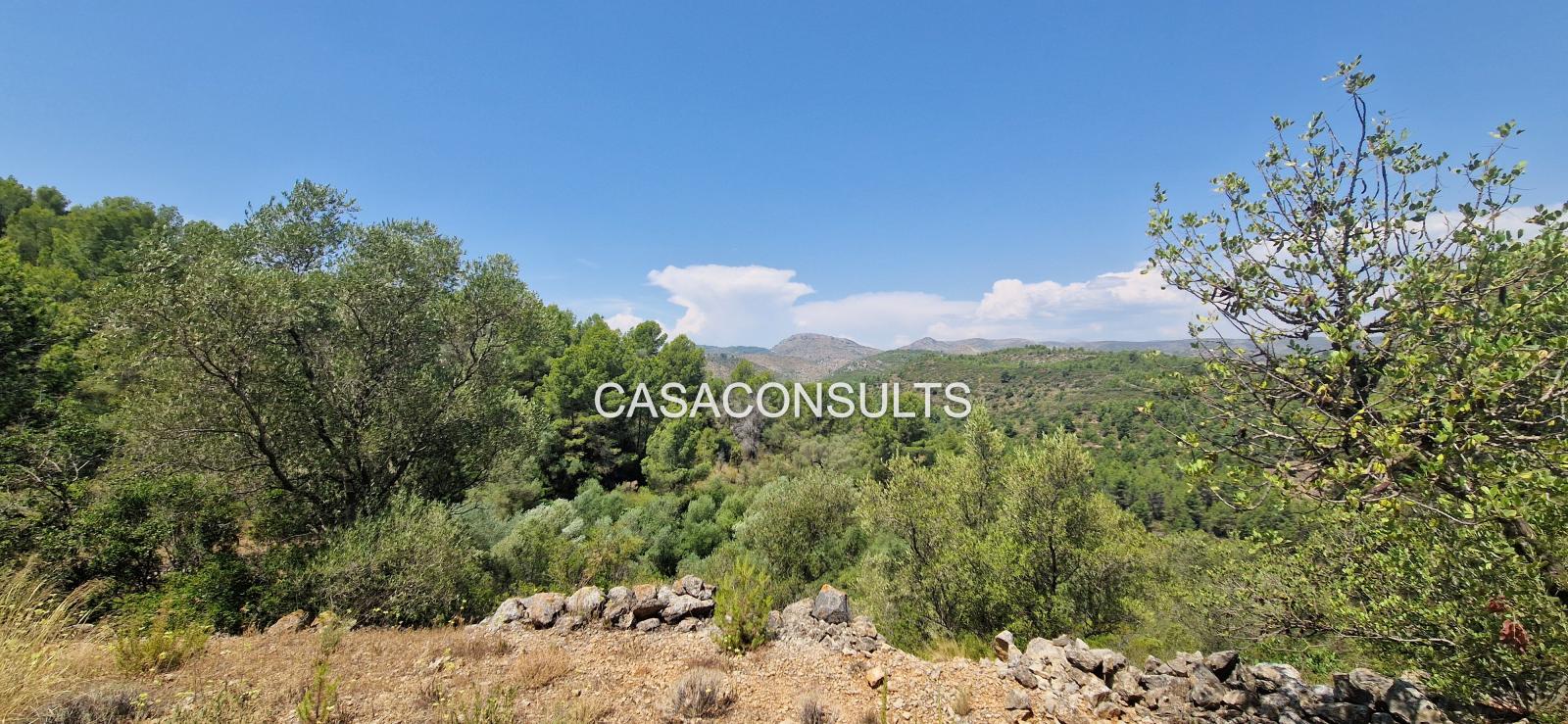 Country Property for Sale in Costur