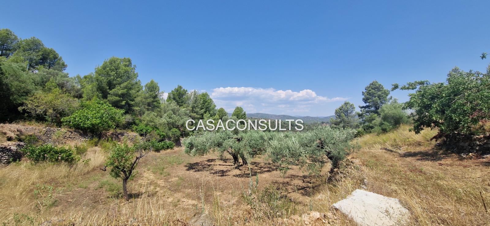 Country Property for Sale in Costur