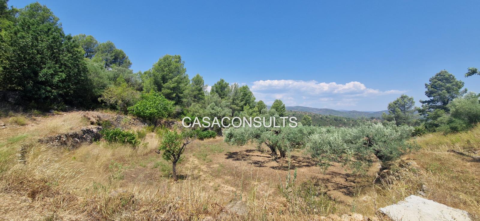 Country Property for Sale in Costur