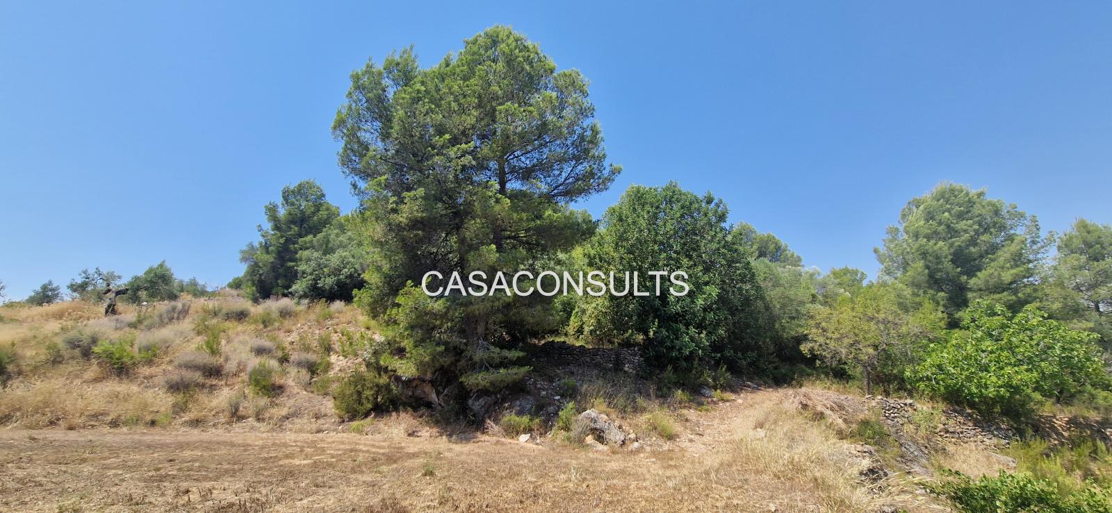 Country Property for Sale in Costur