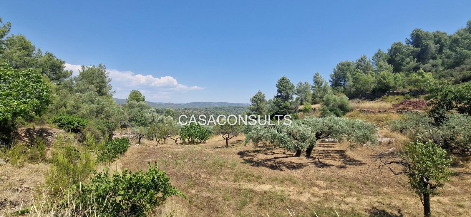 Country Property for Sale in Costur
