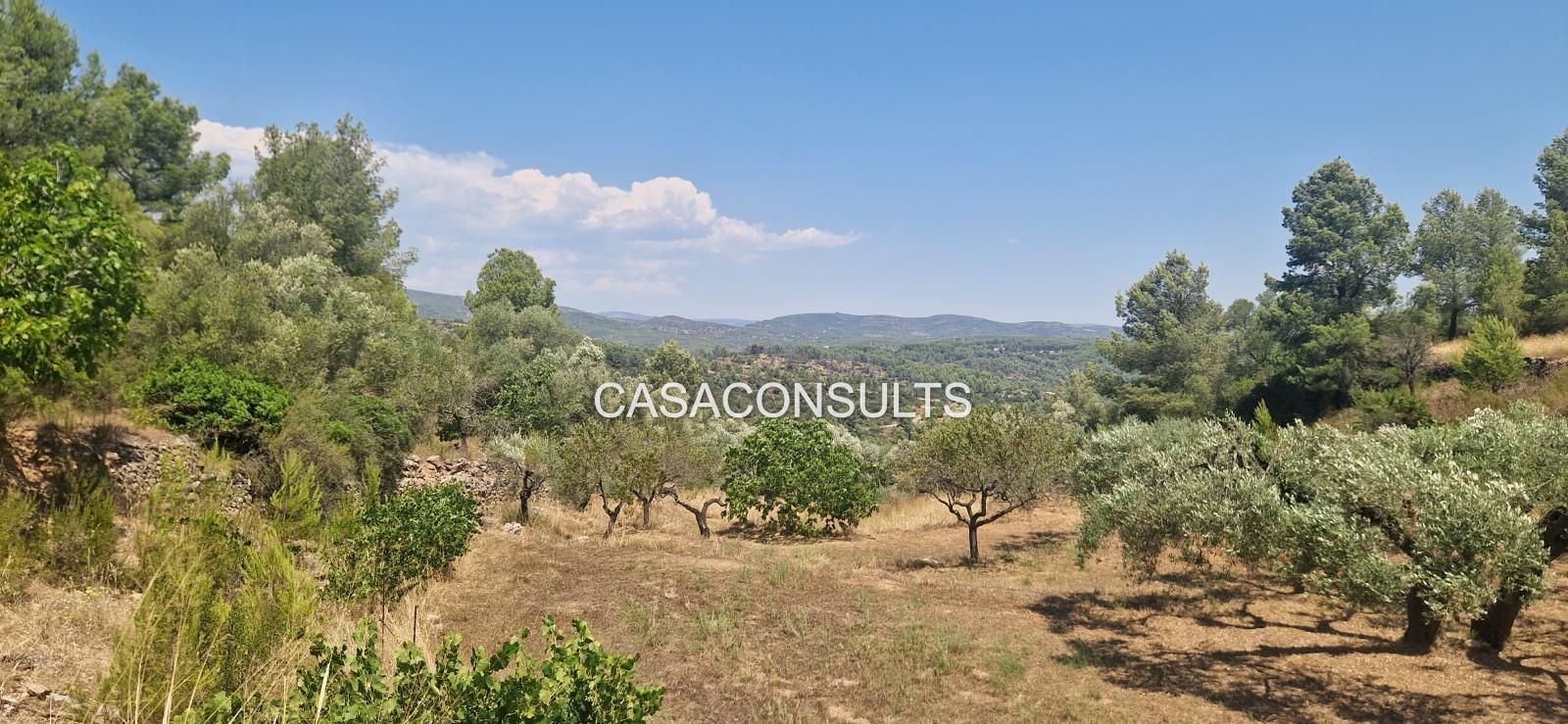 Country Property for Sale in Costur