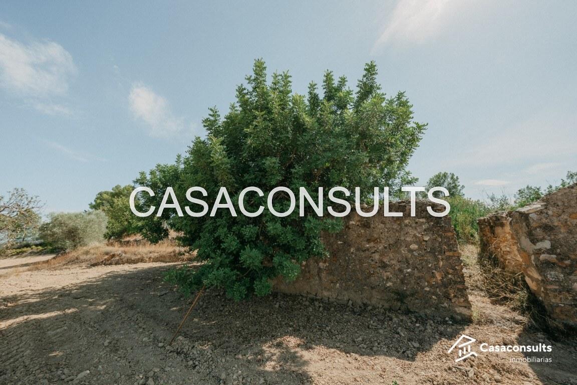 Chalet for Sale in Useras