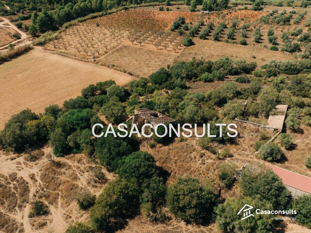 Chalet for Sale in Useras