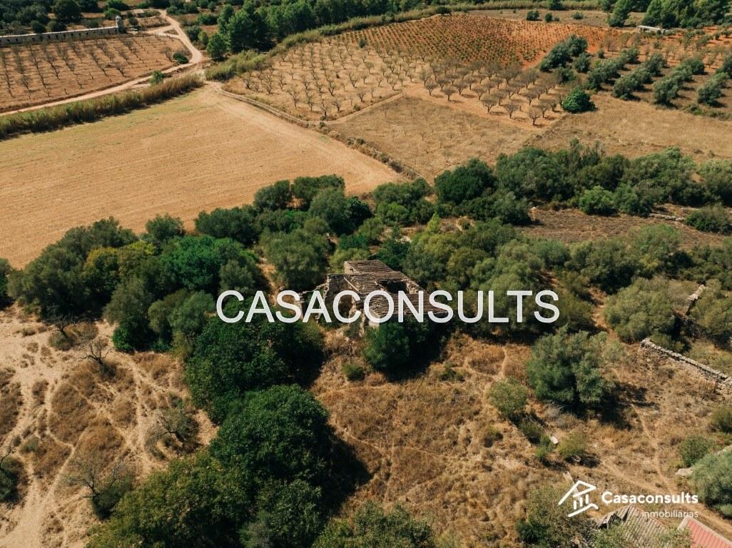 Chalet for Sale in Useras