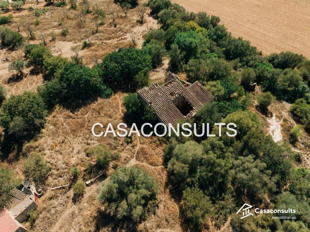 Chalet for Sale in Useras