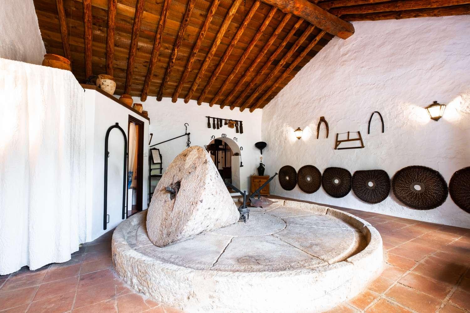 House for Sale in Nerja