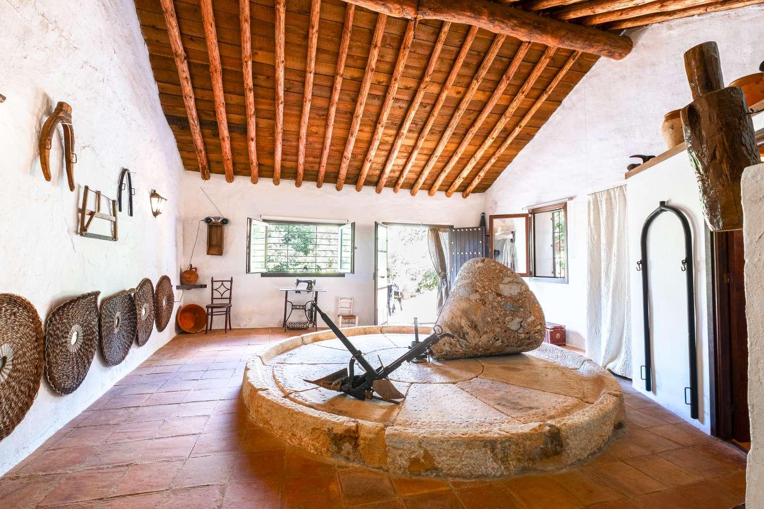 House for Sale in Nerja