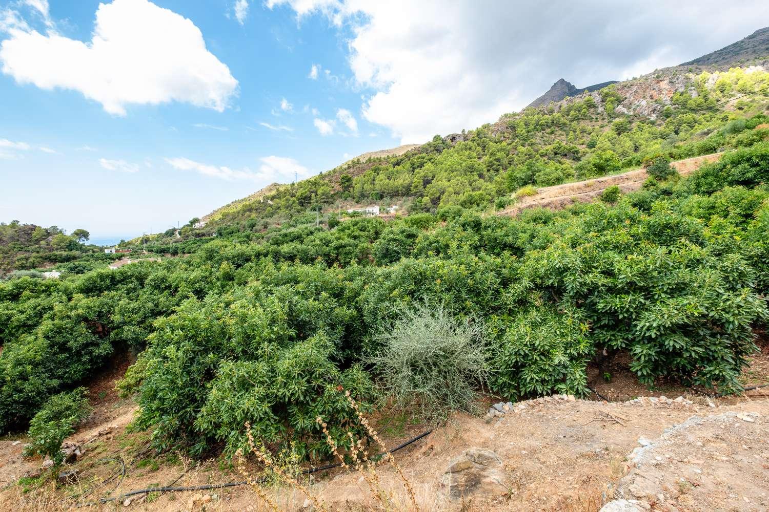 House for Sale in Nerja