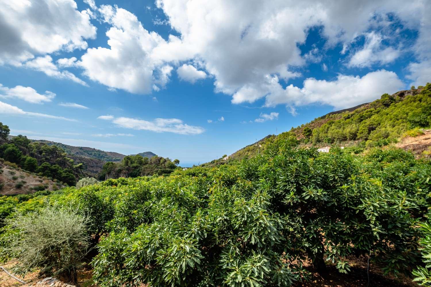 House for Sale in Nerja