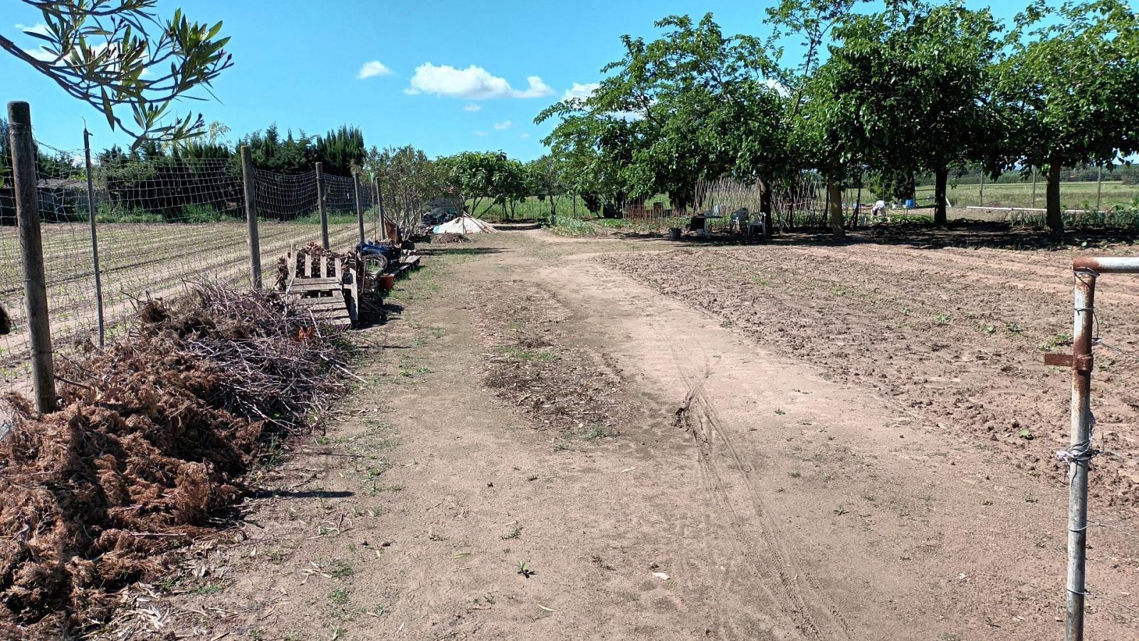 Country Property for Sale in Torroella de Montgrí