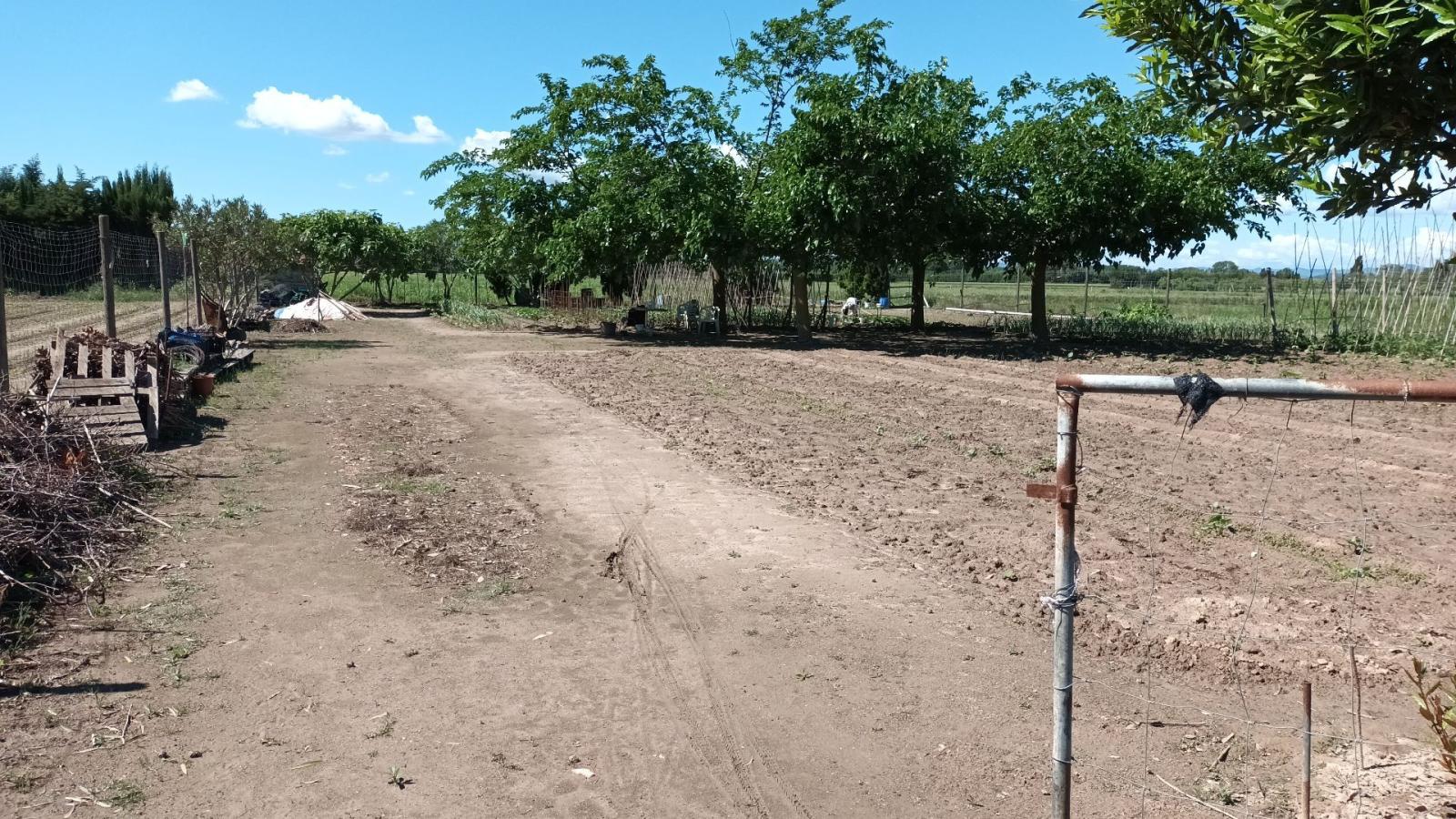 Country Property for Sale in Torroella de Montgrí