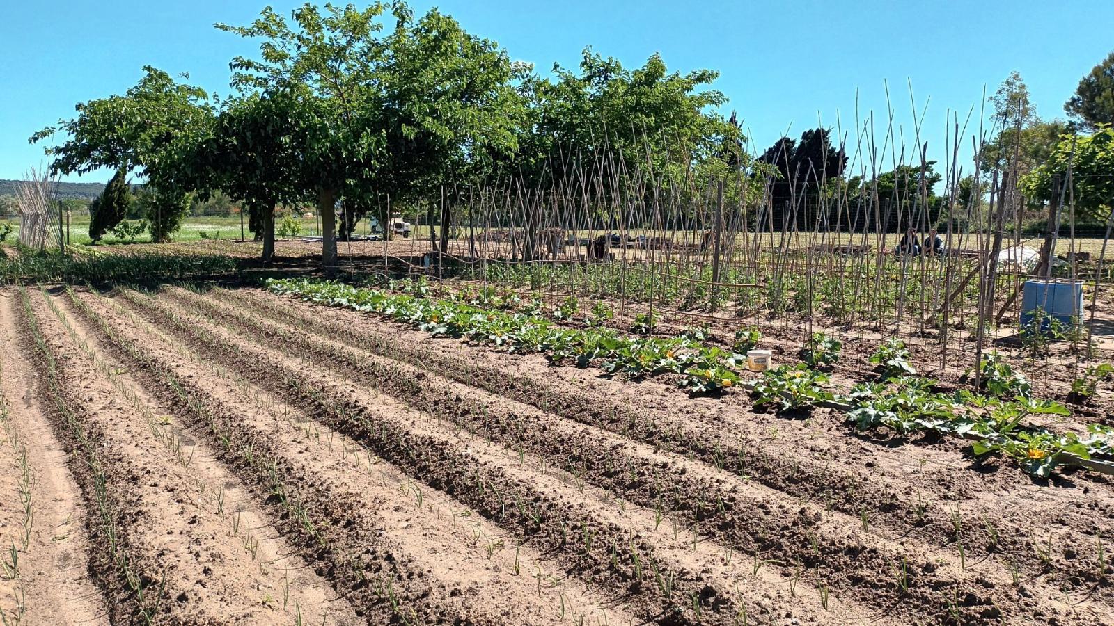 Country Property for Sale in Torroella de Montgrí