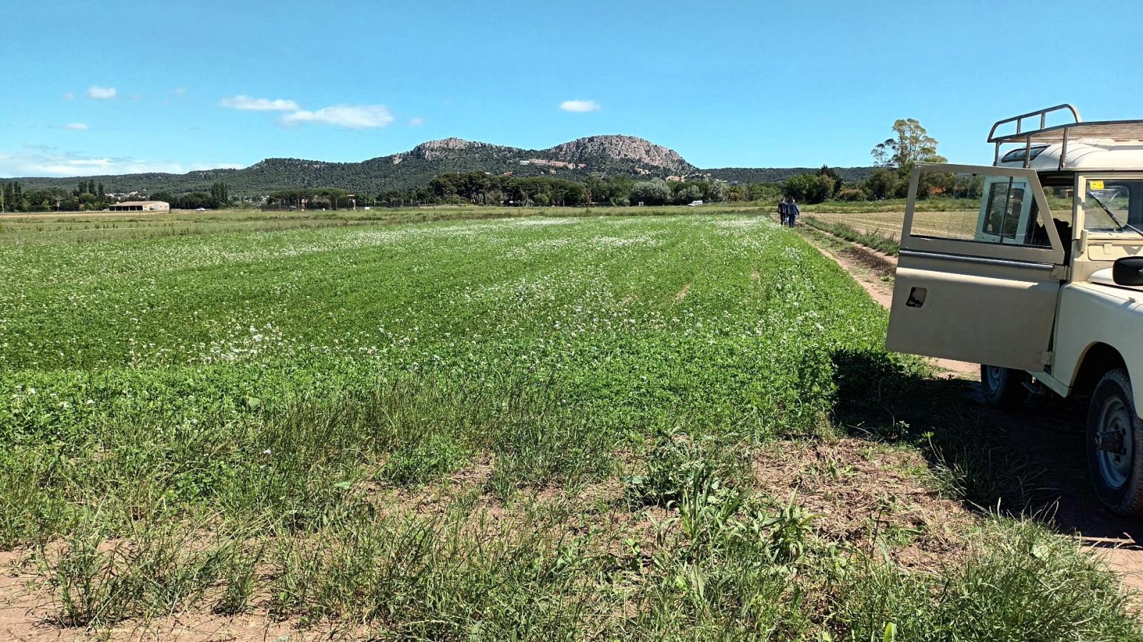 Country Property for Sale in Torroella de Montgrí