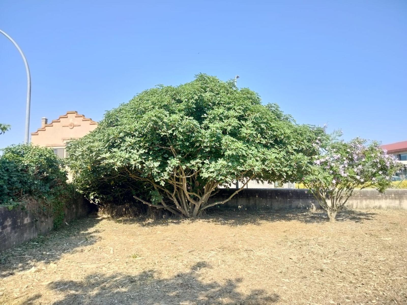 Chalet for Sale in Serra de Daró