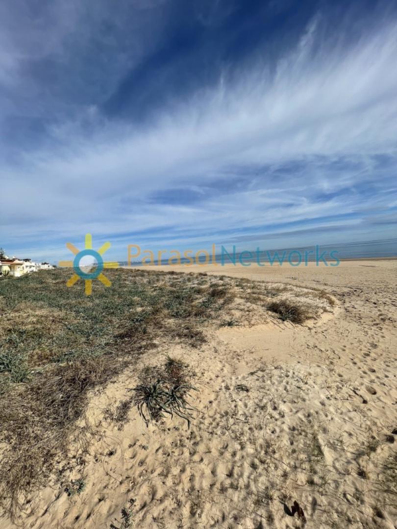 Premise for Sale in Xeraco