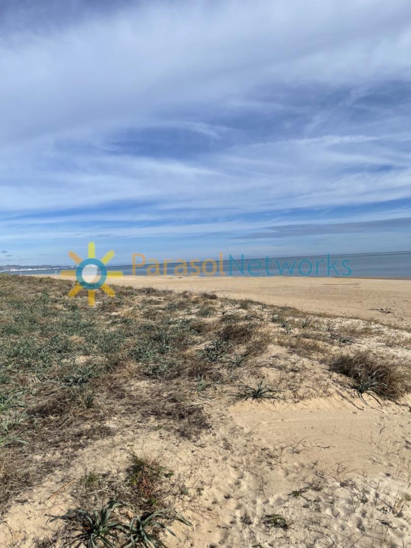 Premise for Sale in Xeraco