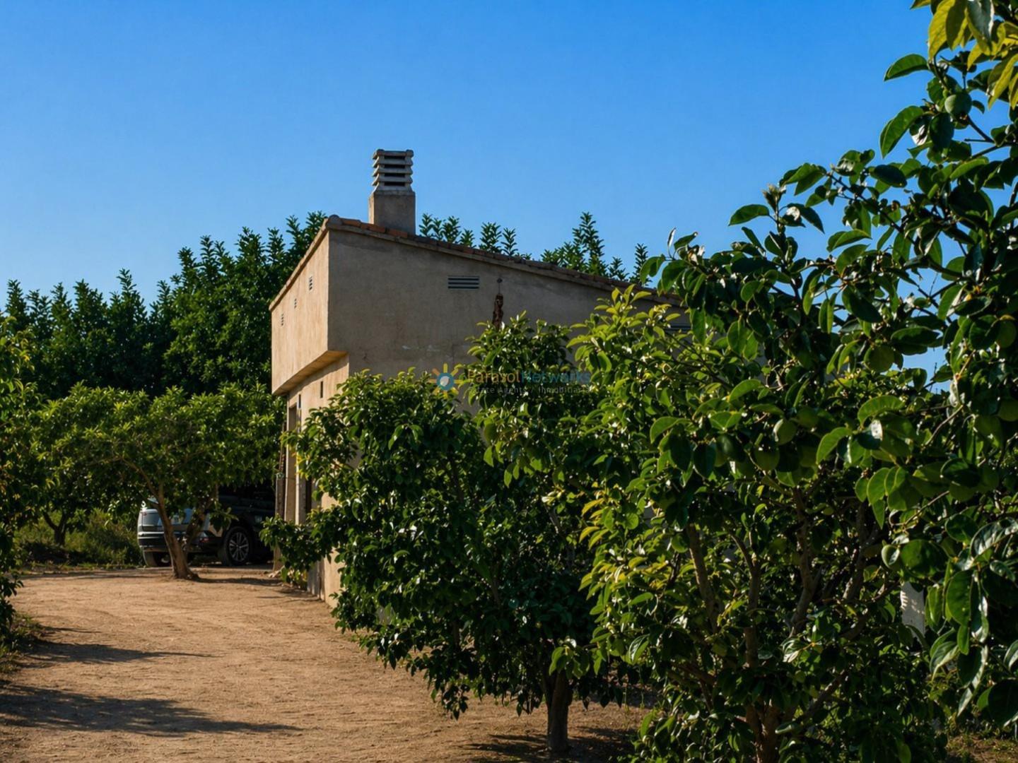 Plot for Sale in Albaida