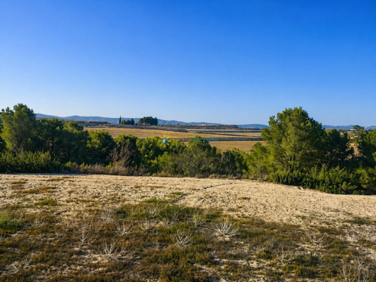 Plot for Sale in Albaida