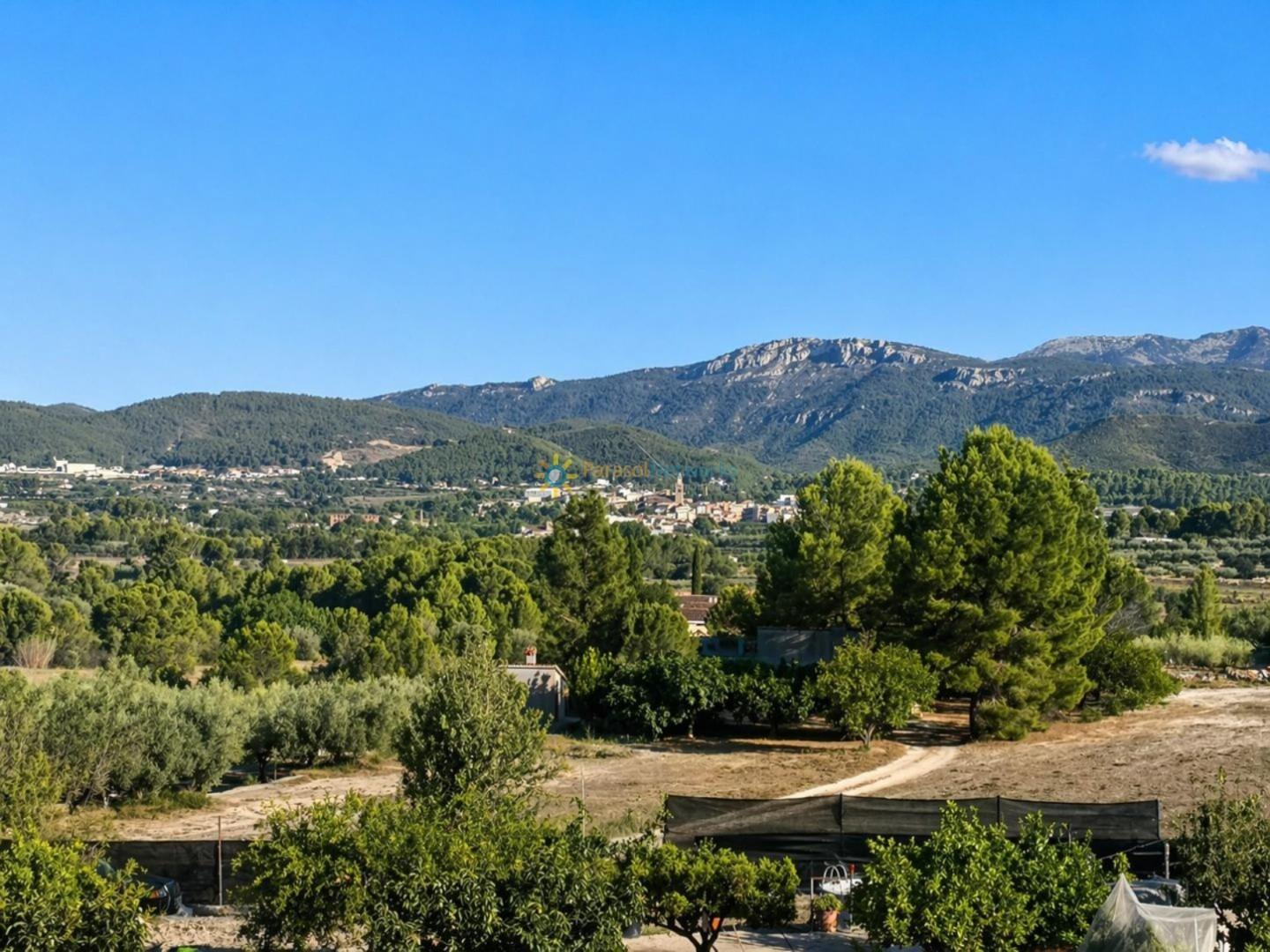 Plot for Sale in Albaida