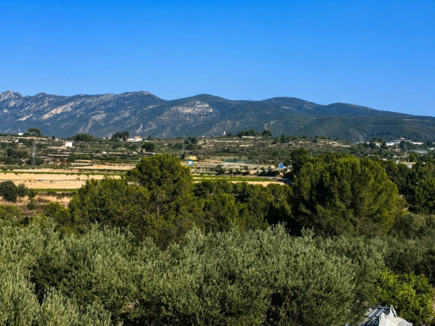 Plot for Sale in Albaida