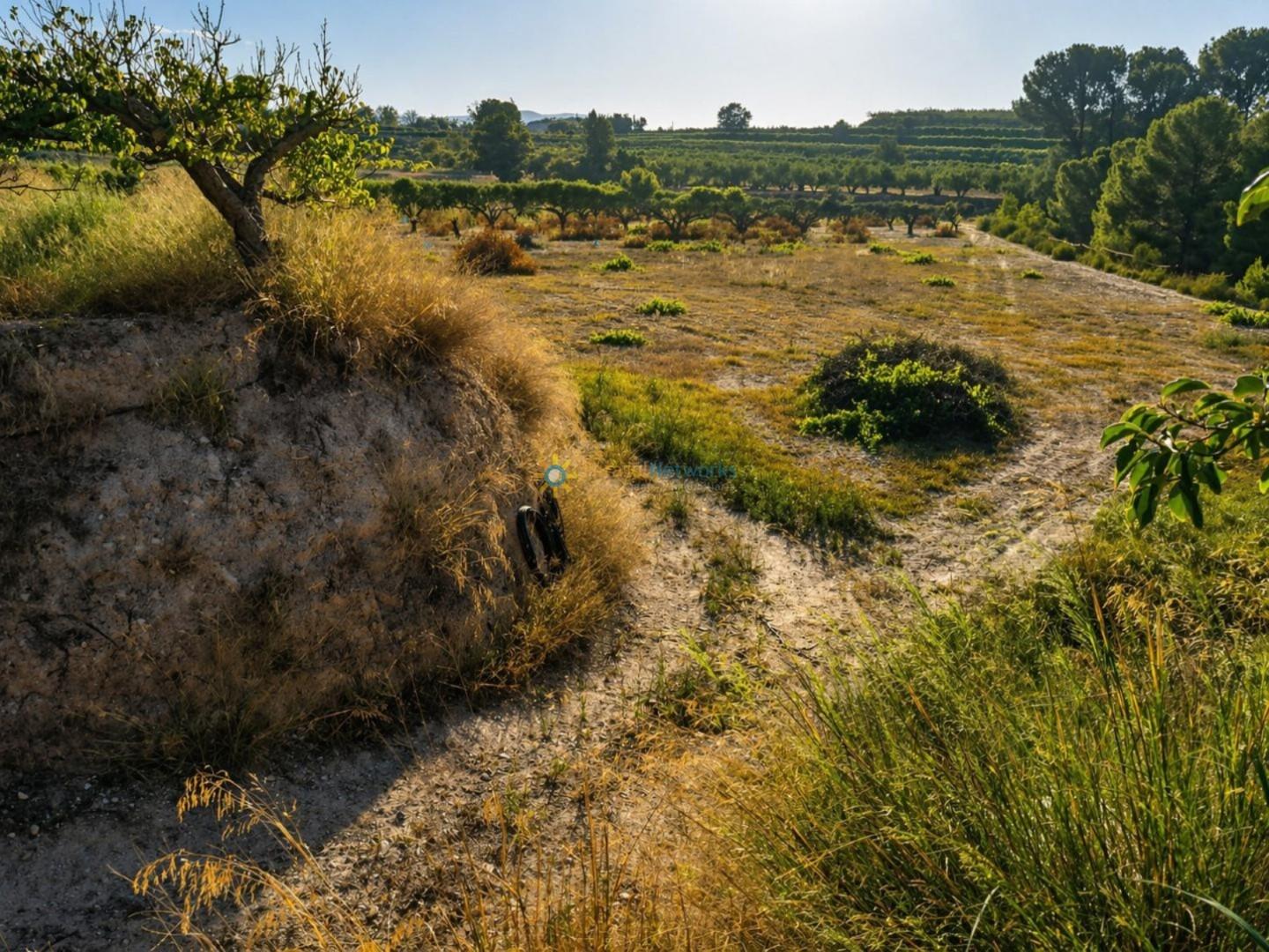 Plot for Sale in Albaida