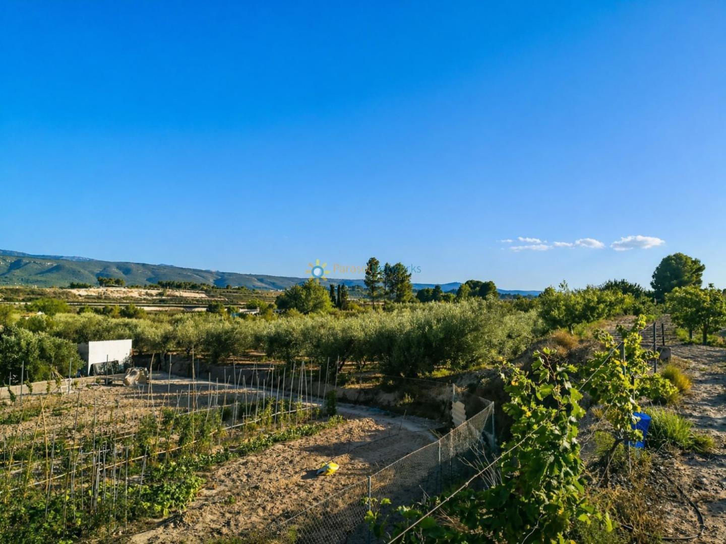 Plot for Sale in Albaida
