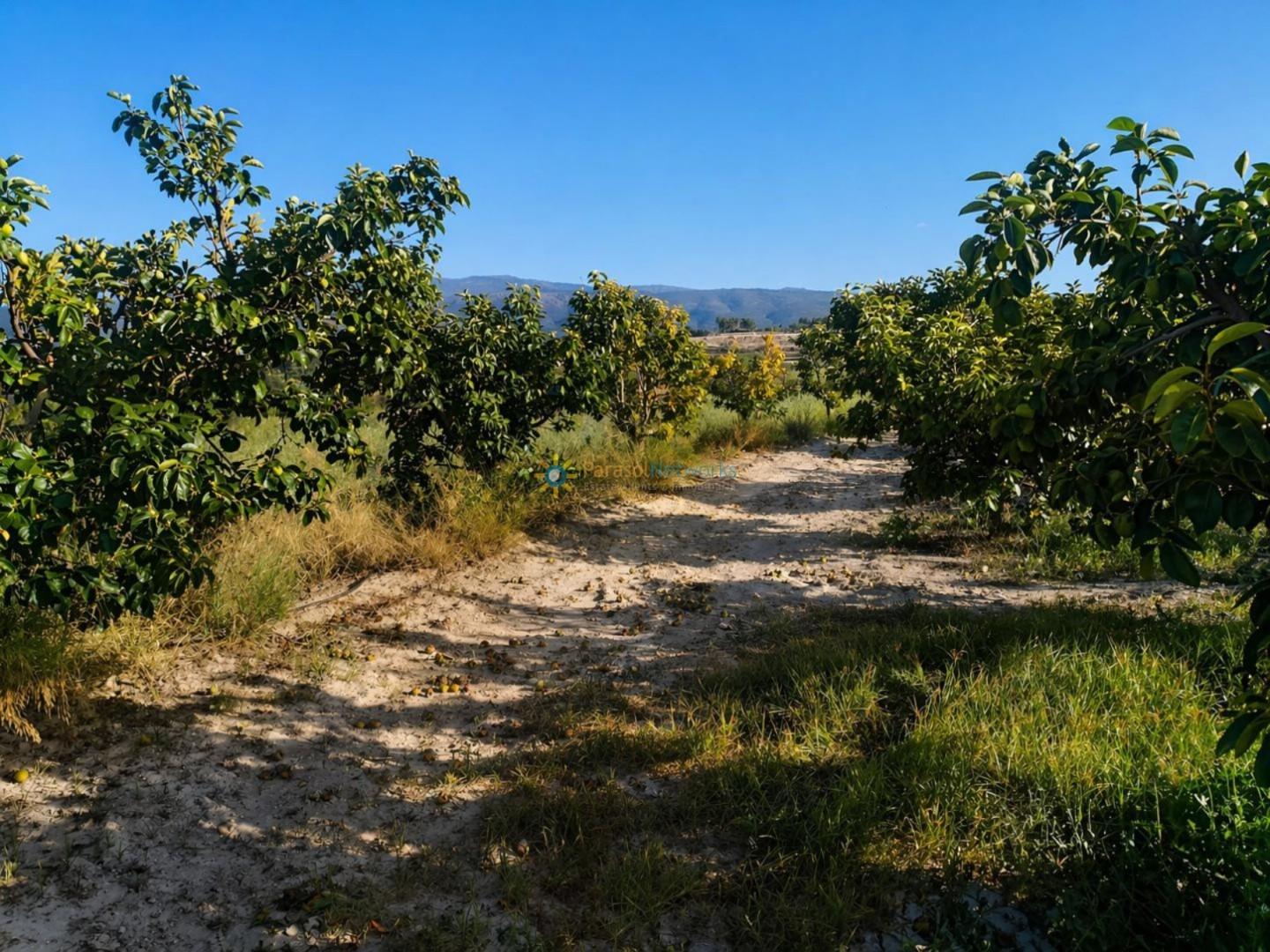 Plot for Sale in Albaida
