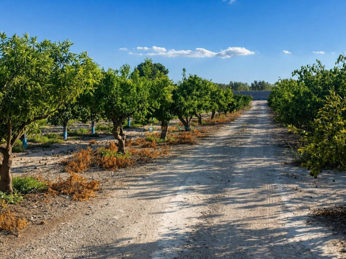 Plot for Sale in Albaida