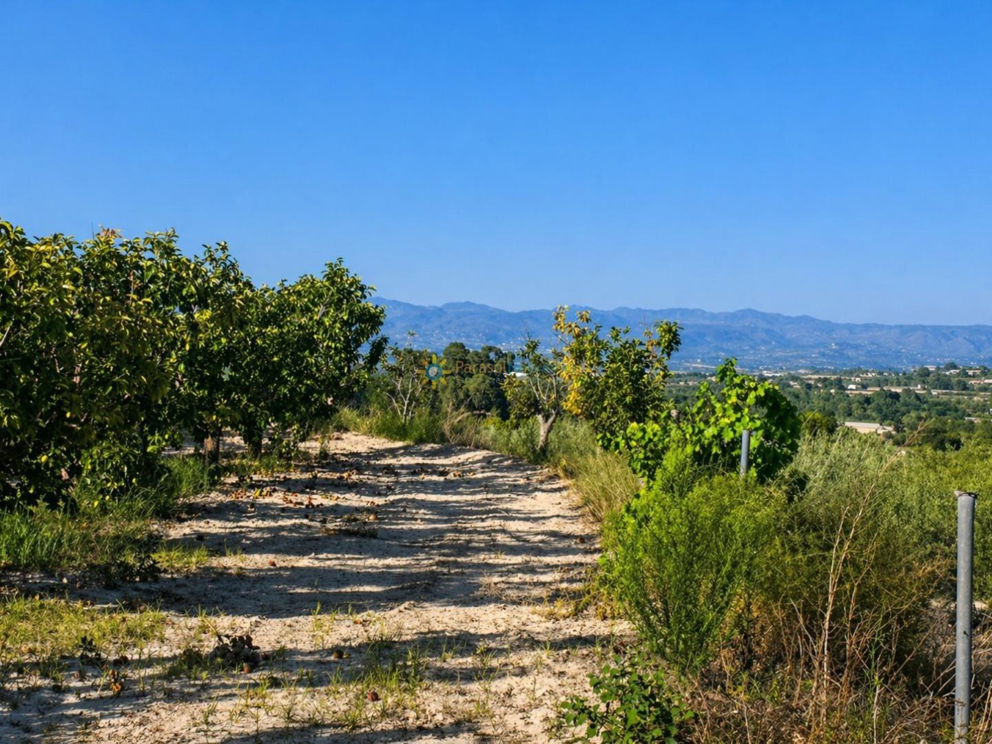 Plot for Sale in Albaida