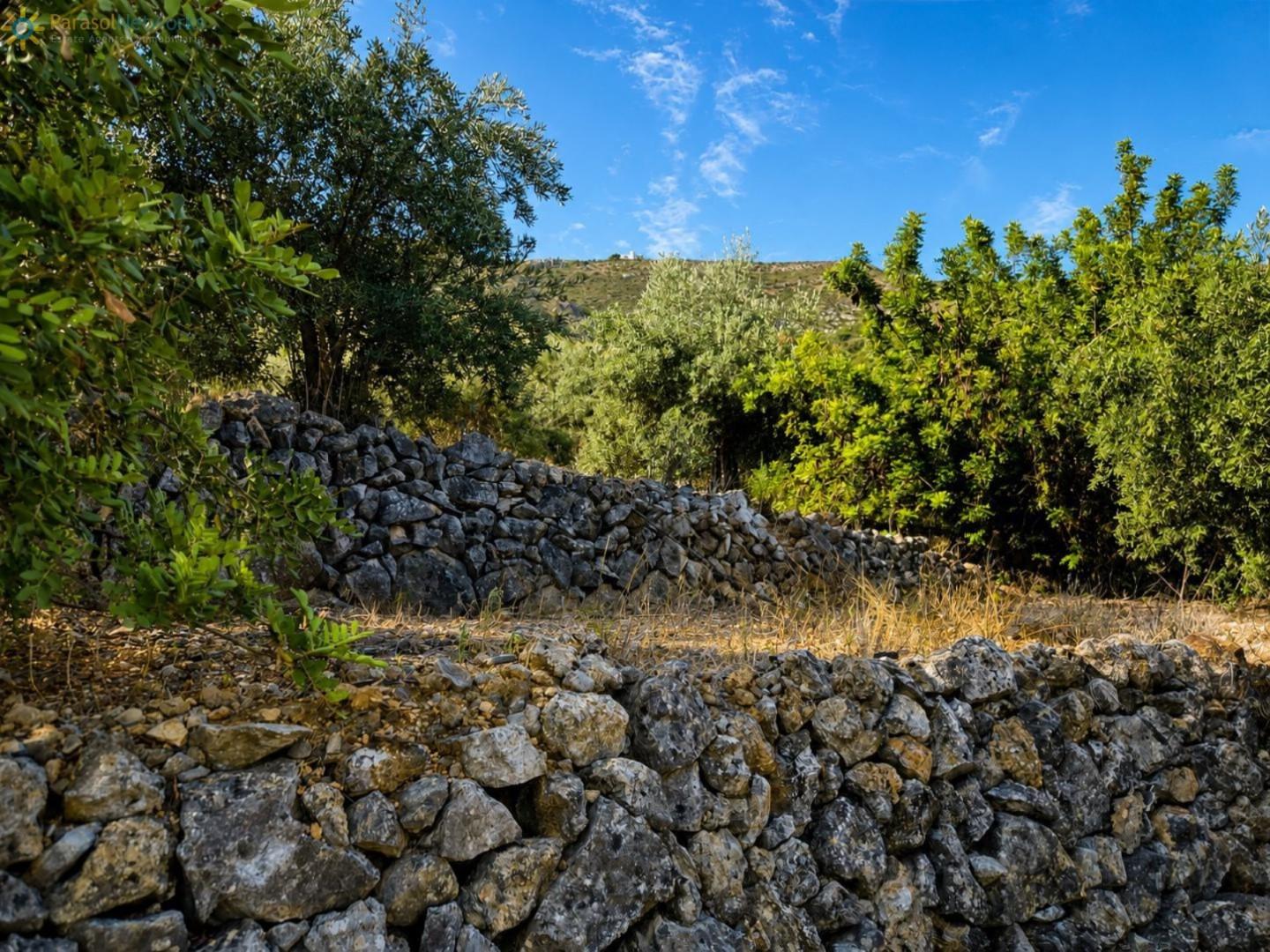 Plot for Sale in Adsubia