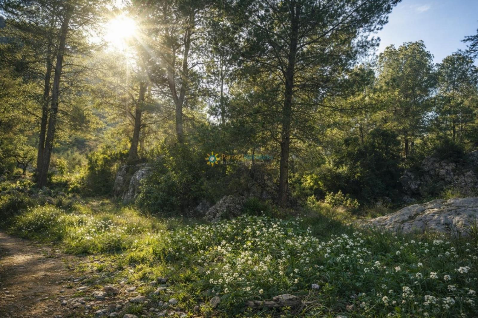 Casa Rural en Venta en Muro de Alcoy