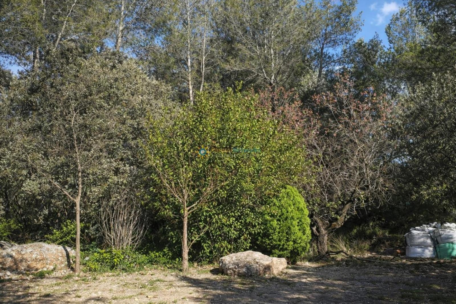 Casa Rural en Venta en Muro de Alcoy
