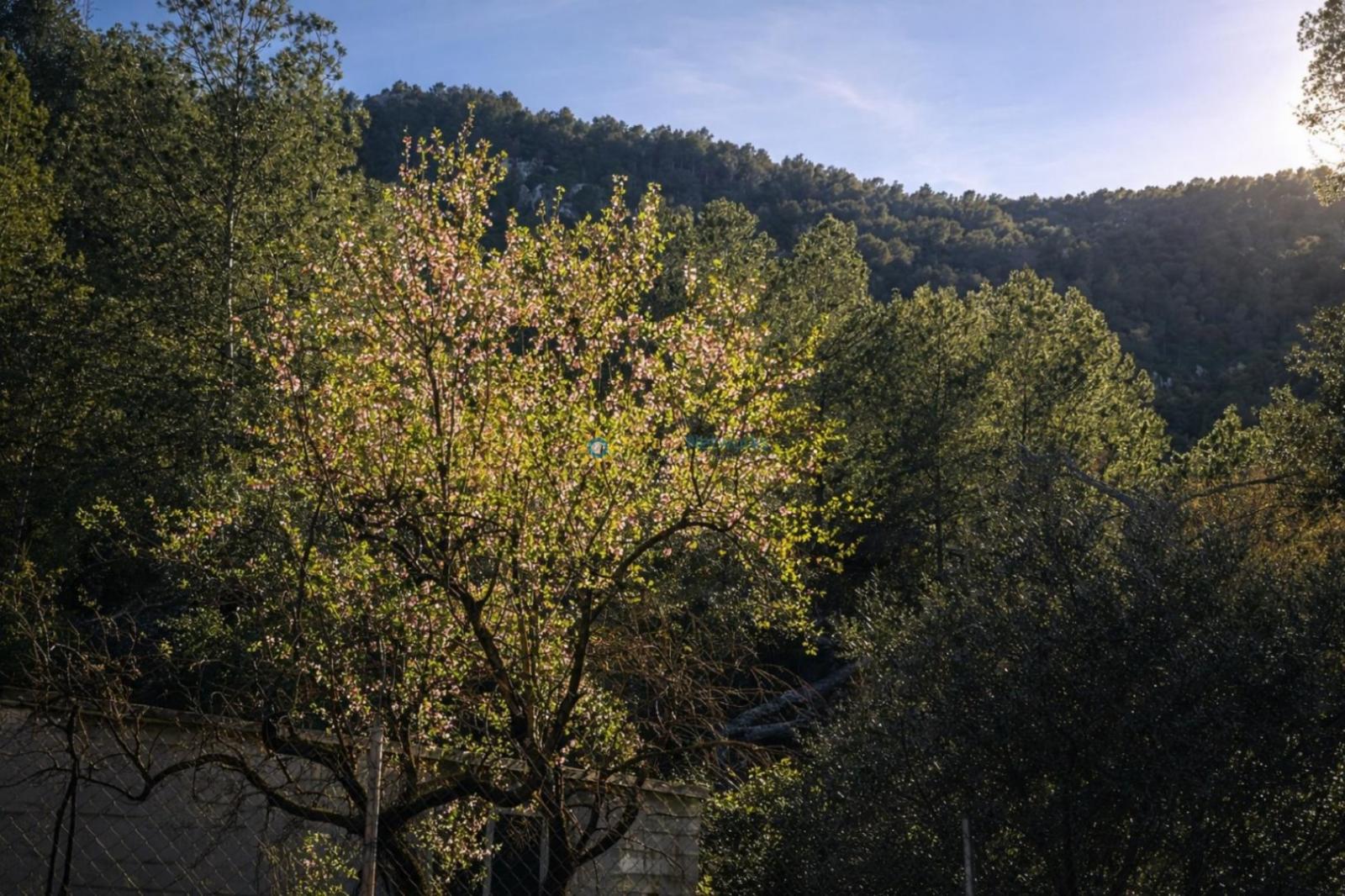 Casa Rural en Venta en Muro de Alcoy