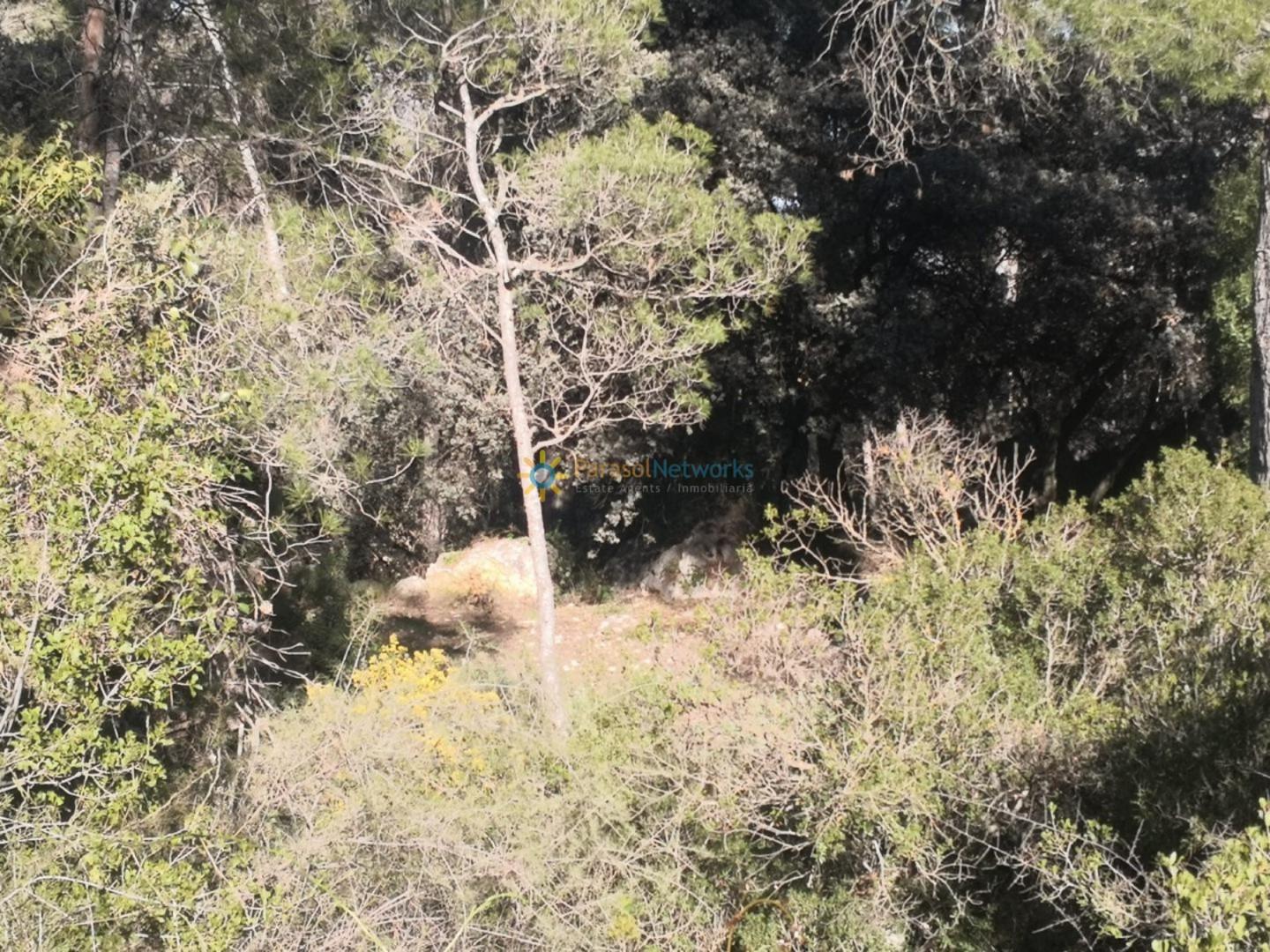 Casa Rural en Venta en Muro de Alcoy