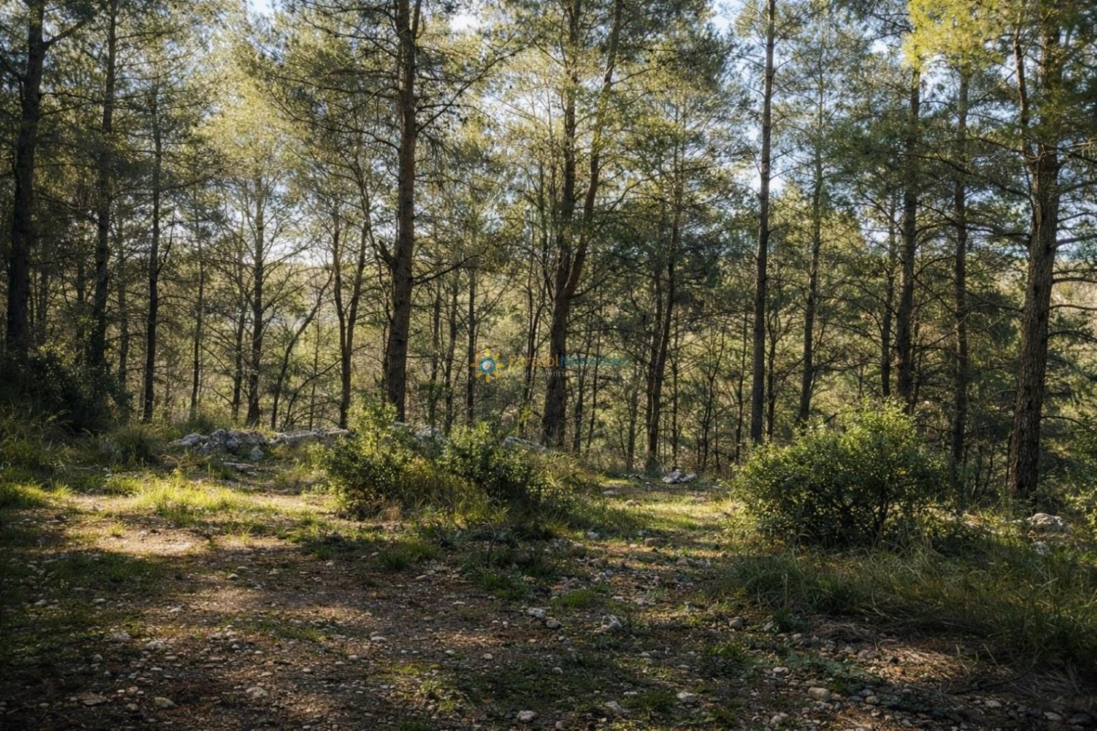 Casa Rural en Venta en Muro de Alcoy