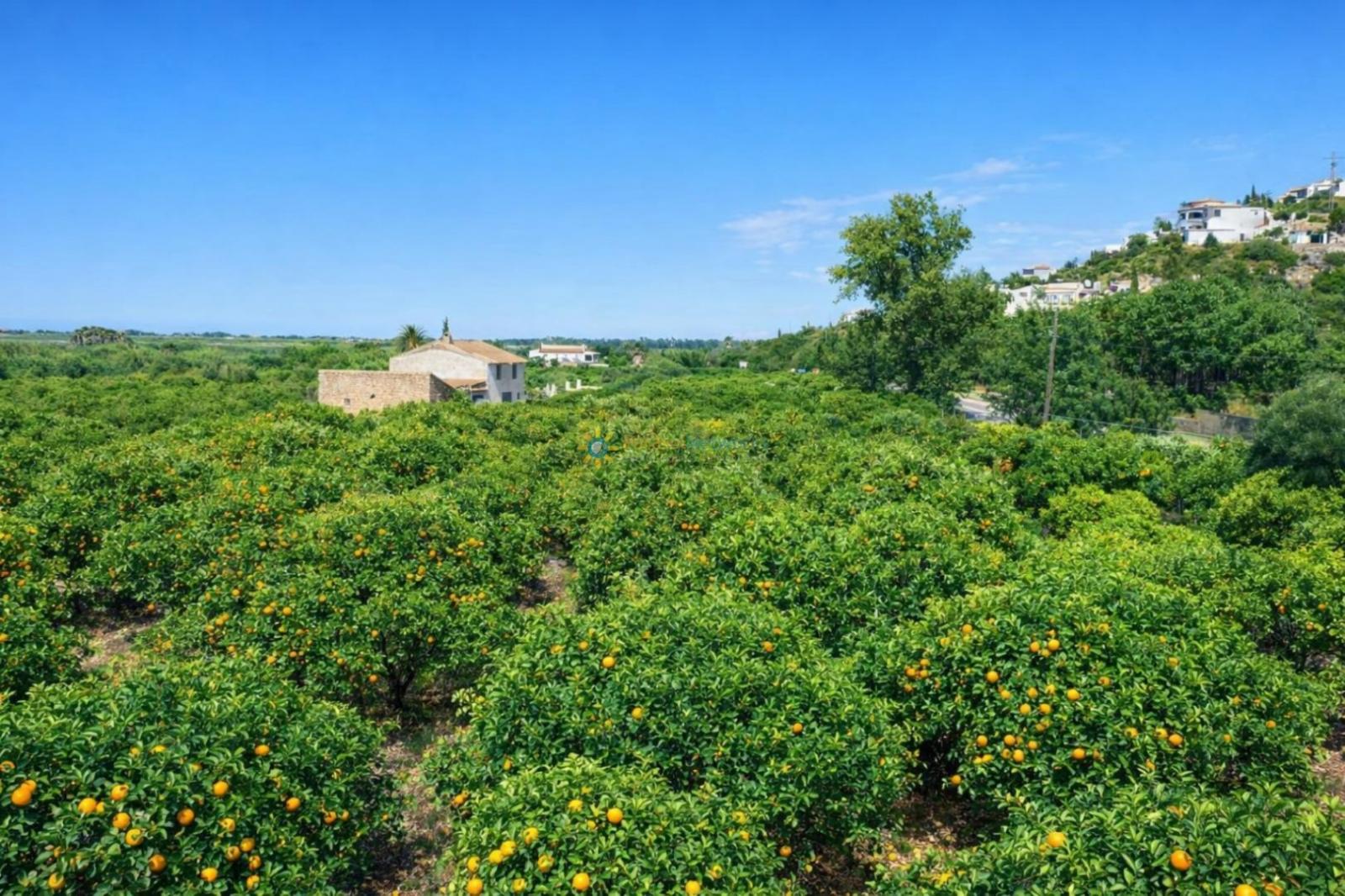 Finca en Venta en Pego