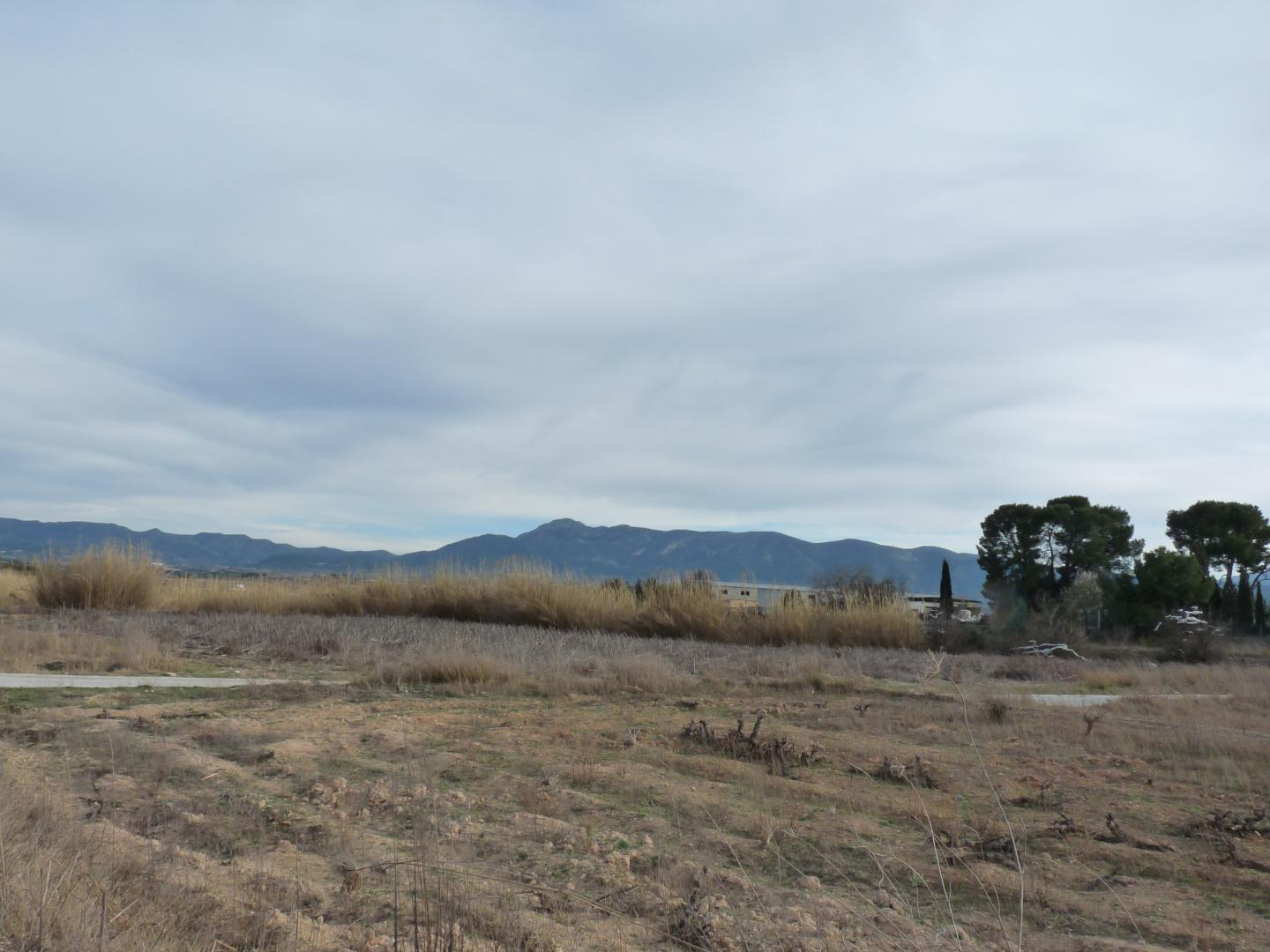 Plot for Sale in Alfarrasí
