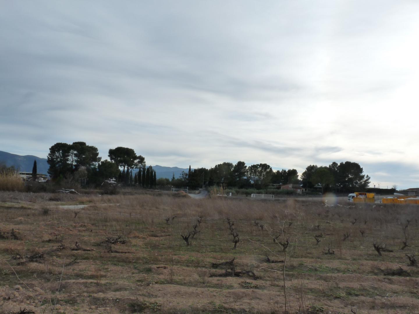 Plot for Sale in Alfarrasí