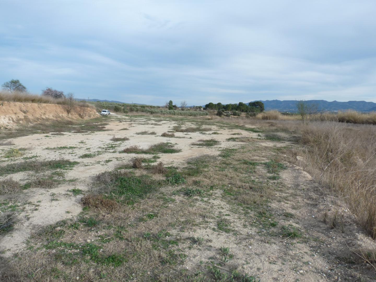 Plot for Sale in Alfarrasí