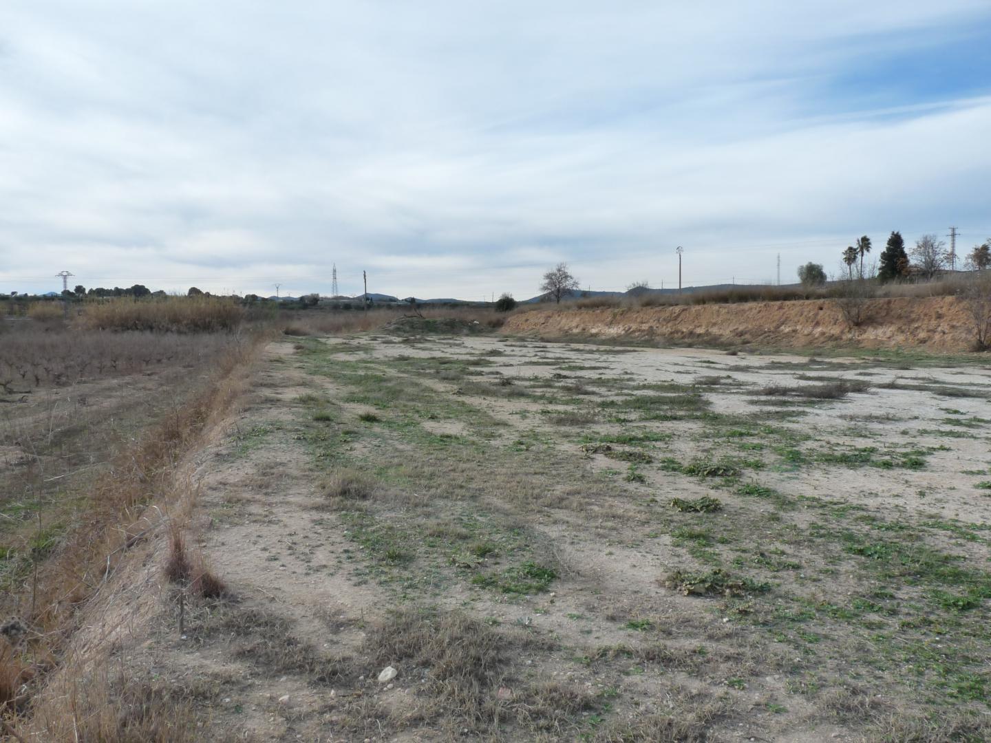 Plot for Sale in Alfarrasí